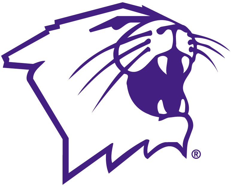 Northwestern Wildcats 1981-Pres Partial Logo diy DTF decal sticker